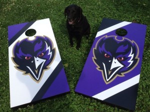 Read more about the article Cornhole Boards keep on coming