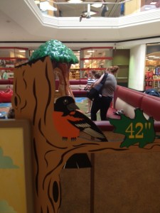 Read more about the article New Play Area at Lakeforest Mall