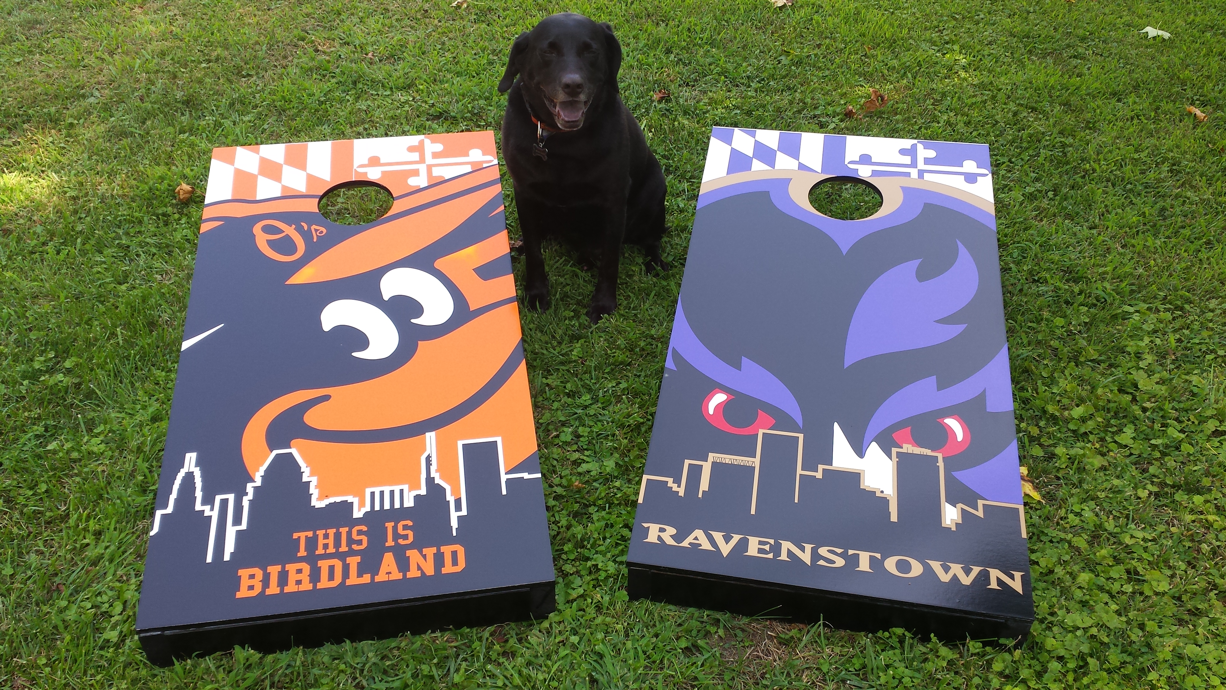 Read more about the article Custom Cornhole Boards